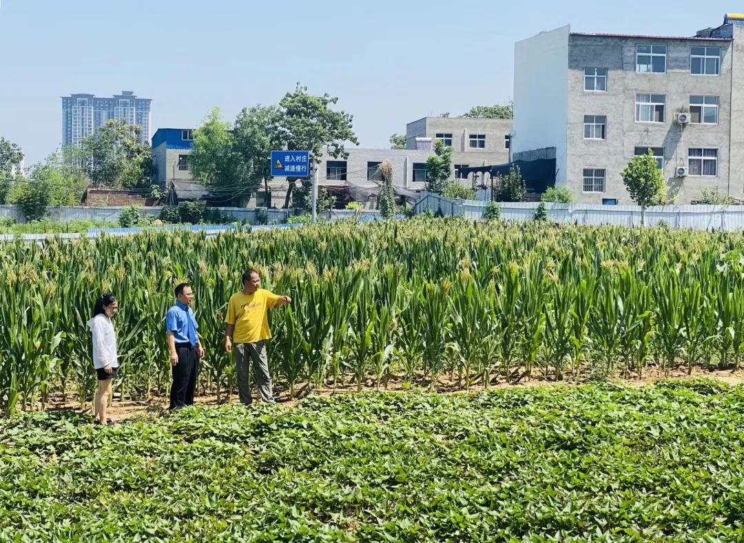 ��(f��)����z��ٌ�(sh��)�ػ��L(f��ng)�鿴��(f��)����r